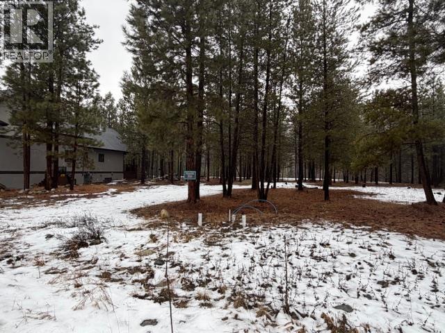 168 River Drive, Cranbrook, British Columbia  V1C 0C6 - Photo 3 - 10371176