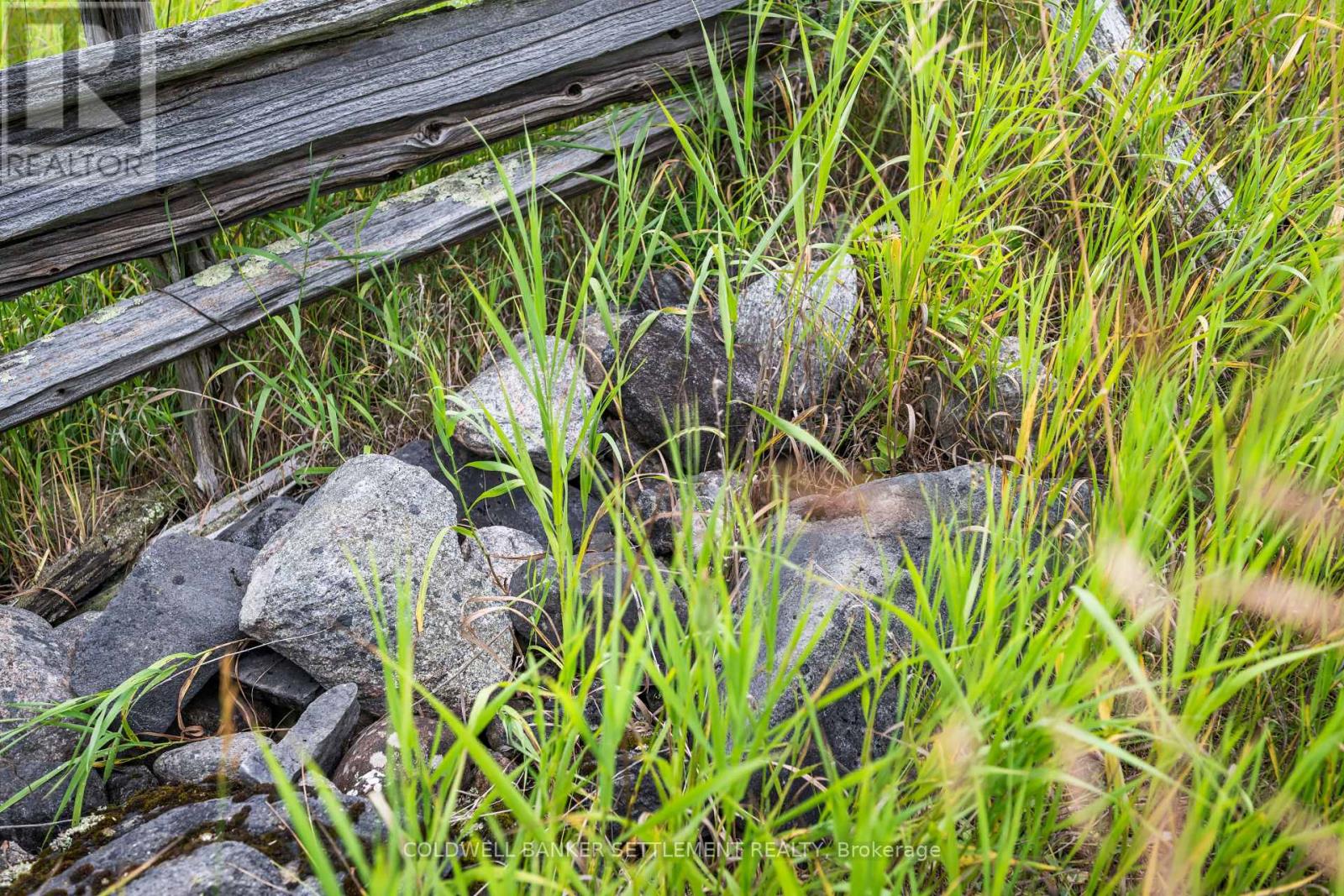 Pt 2 Herron Mills Road, Lanark Highlands, Ontario  K0G 1K0 - Photo 10 - X12636770