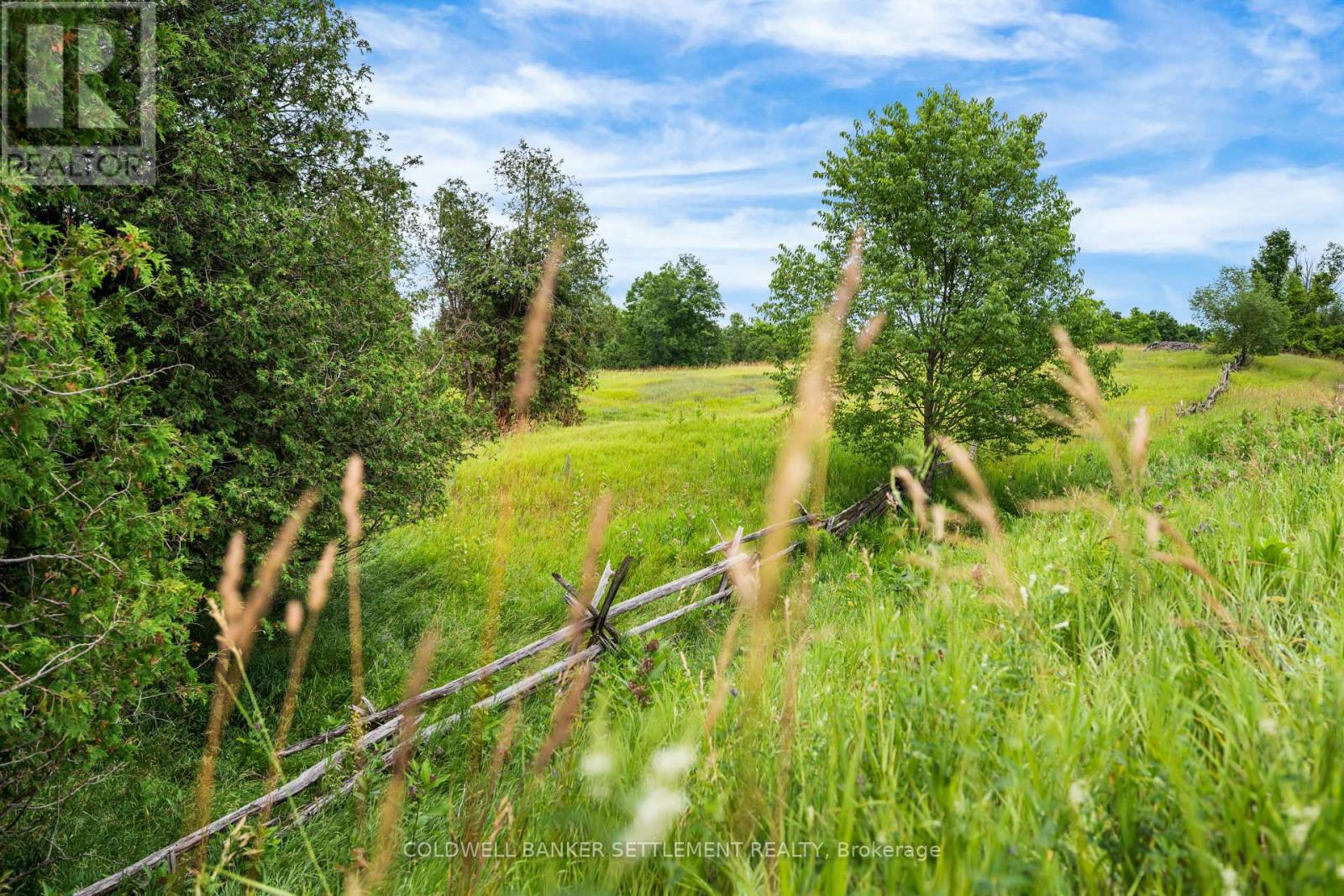 Pt 2 Herron Mills Road, Lanark Highlands, Ontario  K0G 1K0 - Photo 6 - X12636770