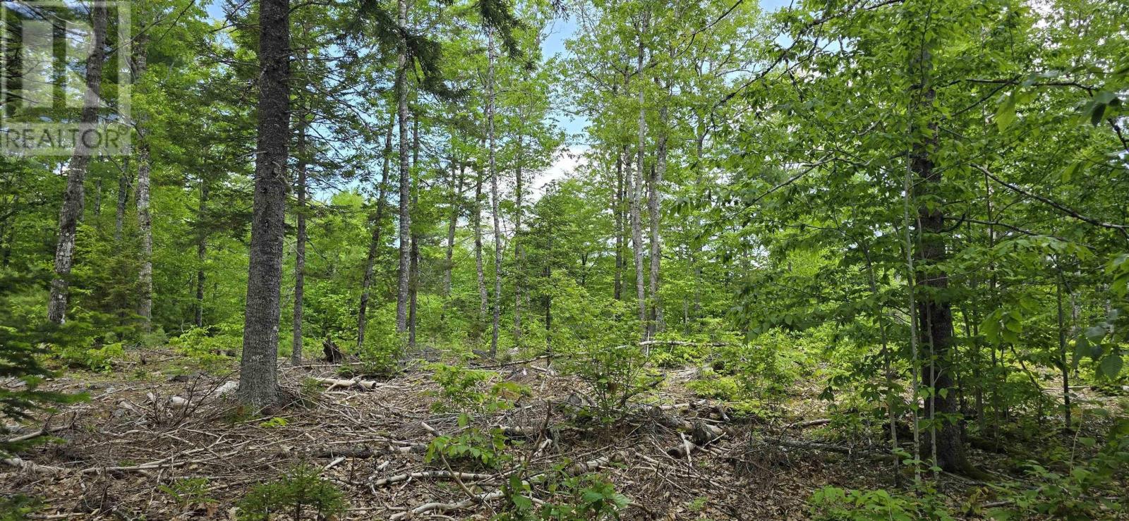 Lot 24-1 East Clifford Road, East Clifford, Nova Scotia B4V 7R8 - Photo 15 - 202513794