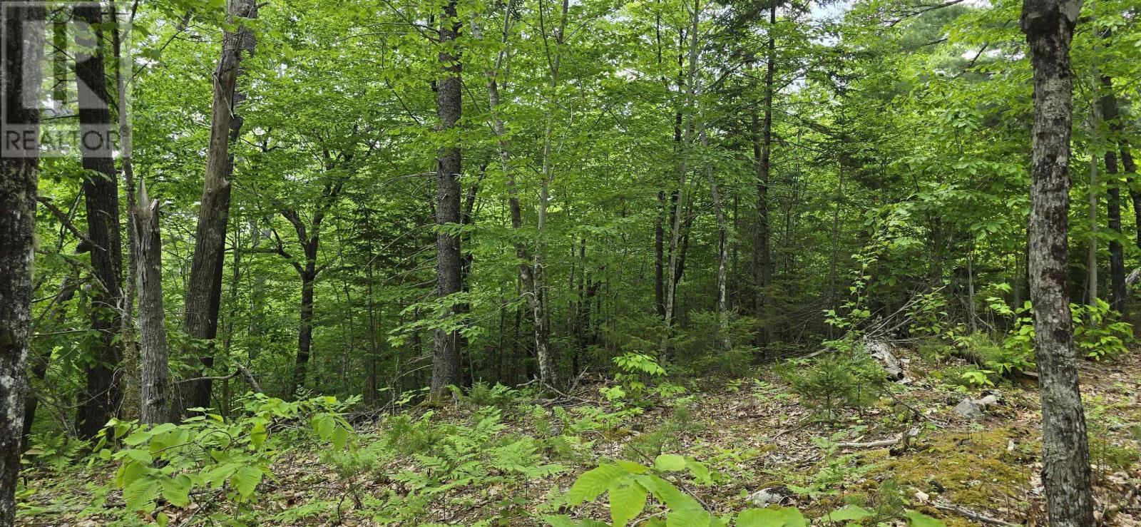 Lot 24-1 East Clifford Road, East Clifford, Nova Scotia B4V 7R8 - Photo 12 - 202513794