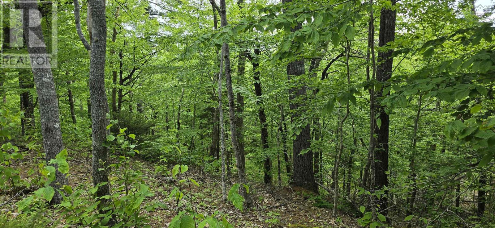 Lot 24-1 East Clifford Road, East Clifford, Nova Scotia B4V 7R8 - Photo 18 - 202513794