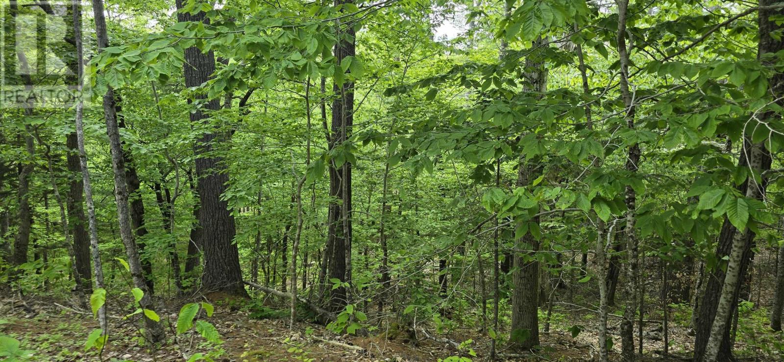 Lot 24-1 East Clifford Road, East Clifford, Nova Scotia B4V 7R8 - Photo 17 - 202513794