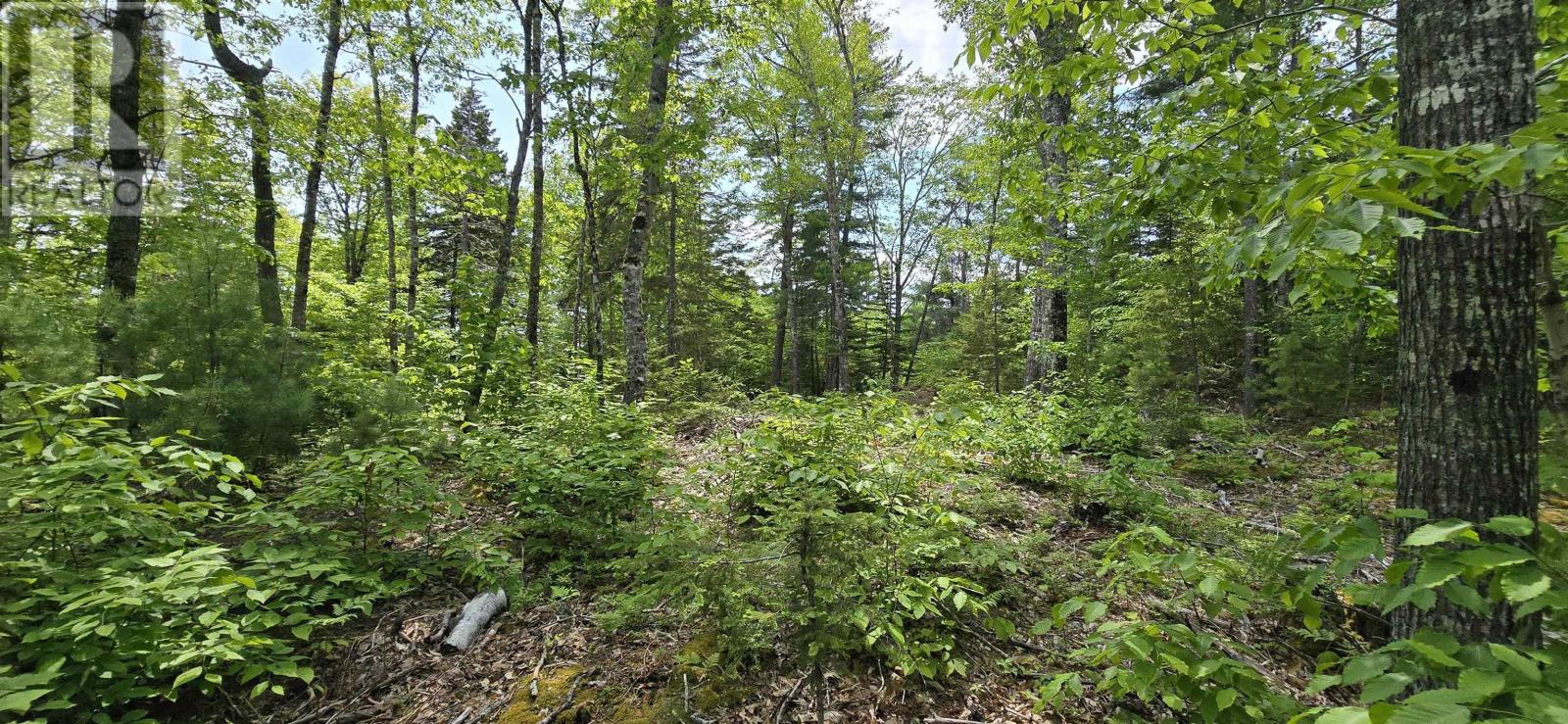 Lot 24-1 East Clifford Road, East Clifford, Nova Scotia B4V 7R8 - Photo 6 - 202513794