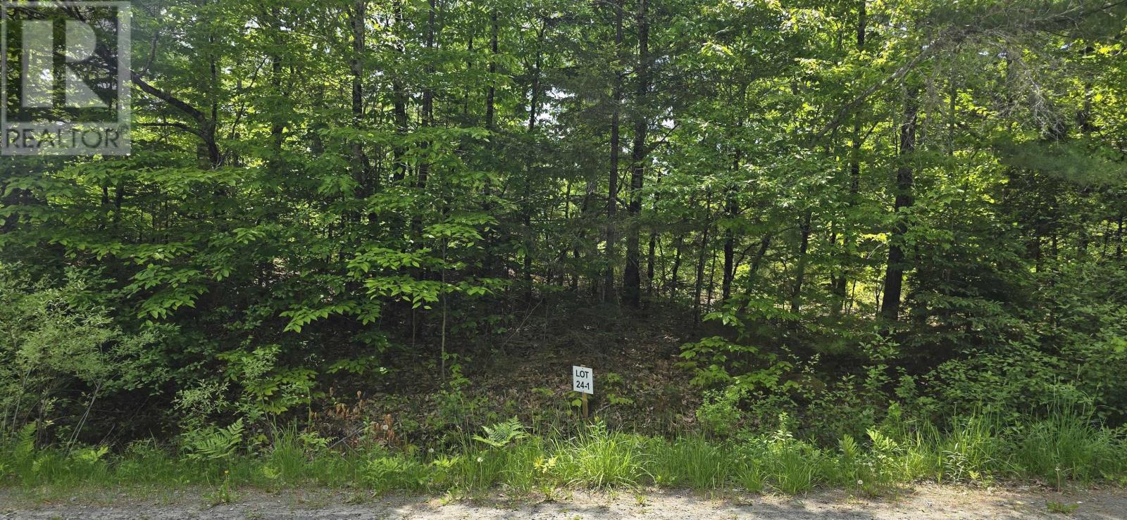 Lot 24-1 East Clifford Road, East Clifford, Nova Scotia B4V 7R8 - Photo 3 - 202513794