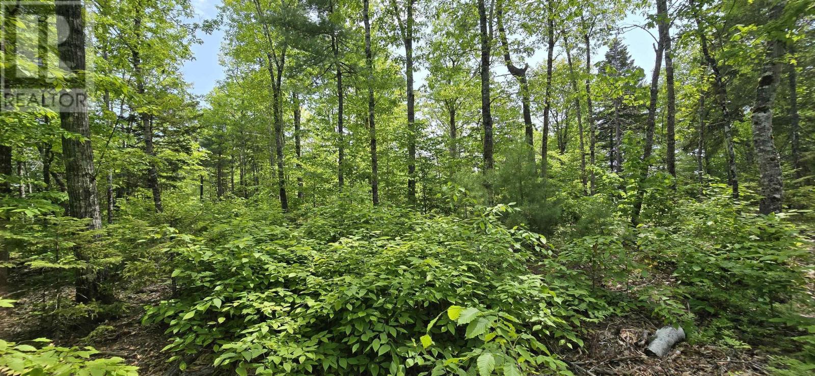 Lot 24-1 East Clifford Road, East Clifford, Nova Scotia B4V 7R8 - Photo 7 - 202513794