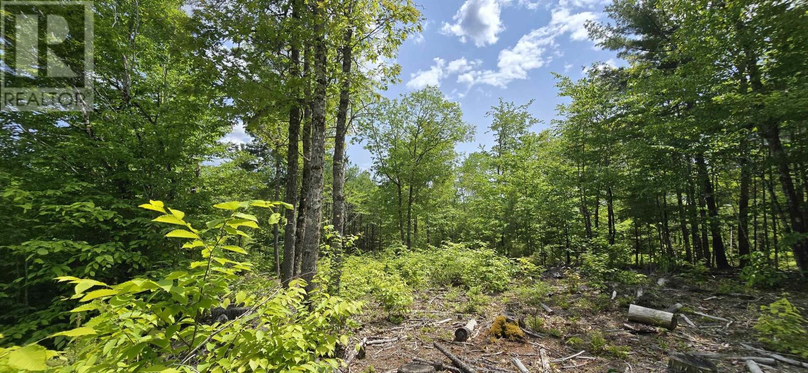 Lot 24-3 East Clifford Road, East Clifford, Nova Scotia B4V 7R8 - Photo 11 - 202513798