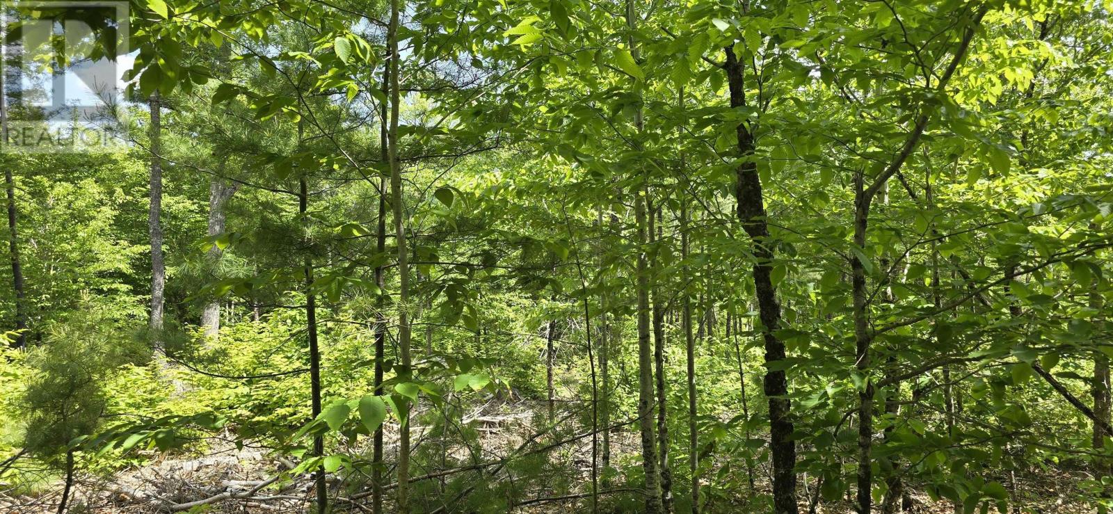 Lot 24-3 East Clifford Road, East Clifford, Nova Scotia B4V 7R8 - Photo 15 - 202513798