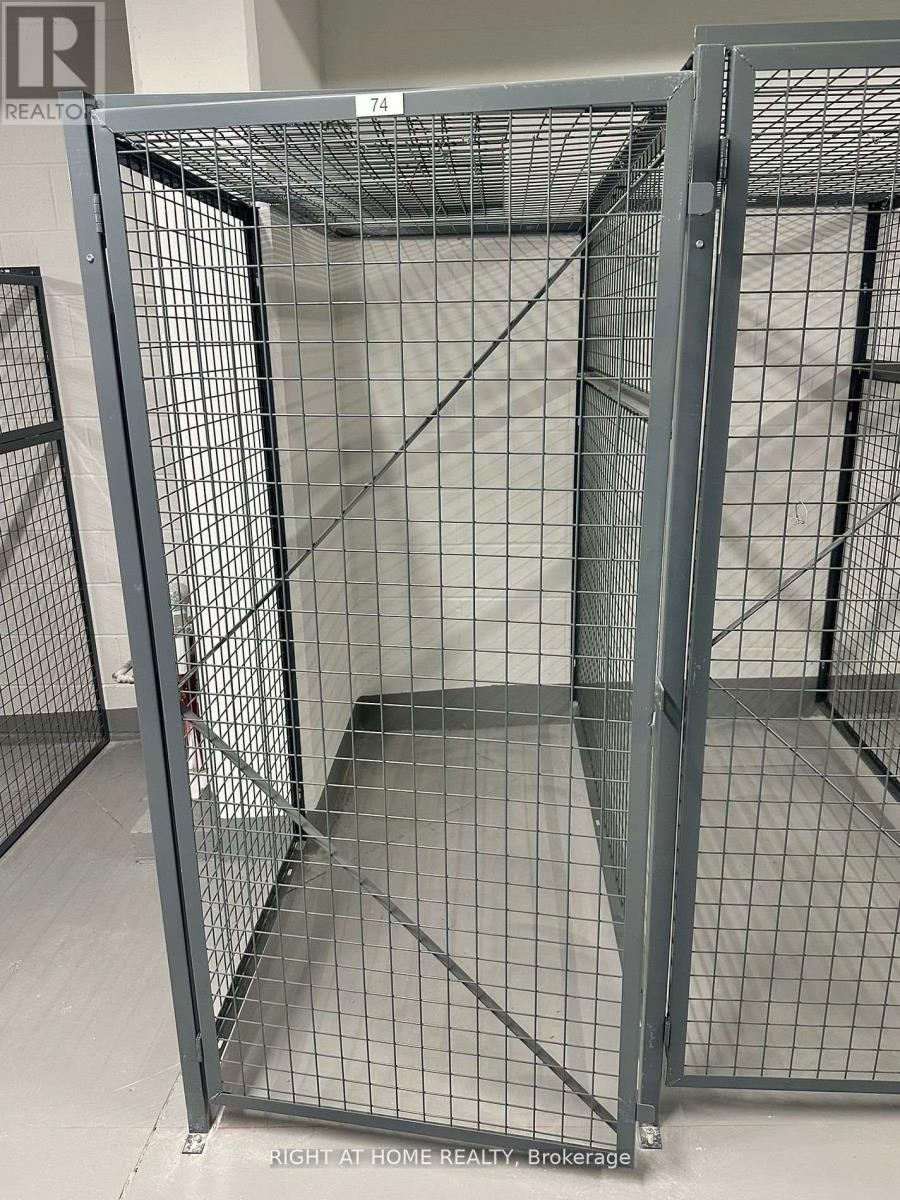 Ph 10 - 9 Tecumseth Street, Toronto, Ontario  M5V 0S5 - Photo 21 - C12636898