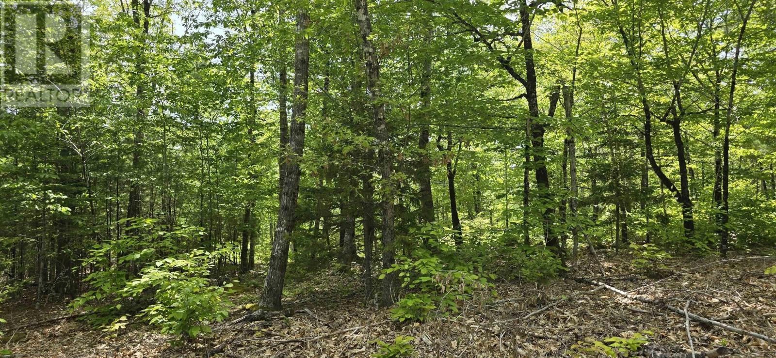 Lot 24-3 East Clifford Road, East Clifford, Nova Scotia B4V 7R8 - Photo 17 - 202513798