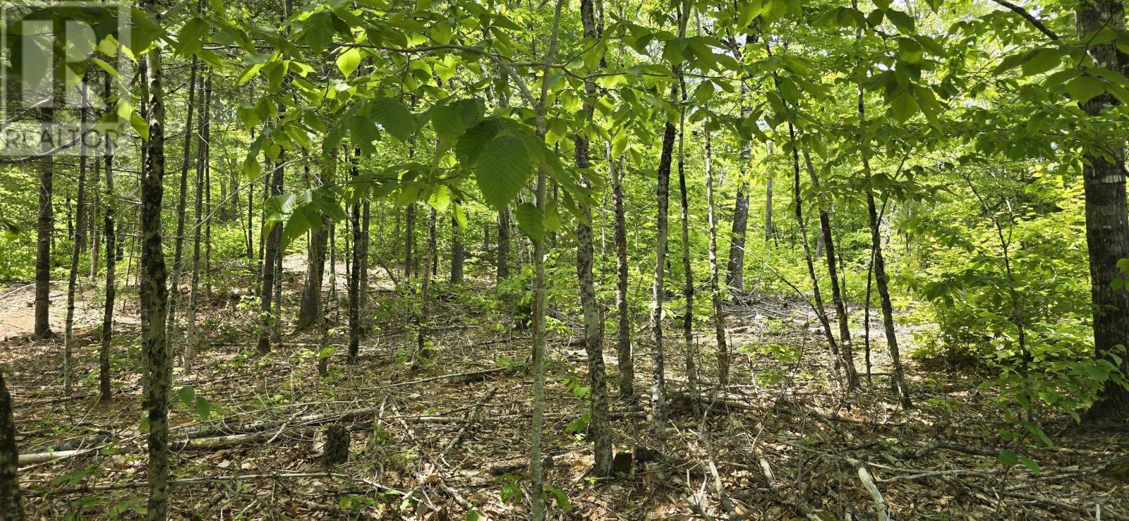 Lot 24-3 East Clifford Road, East Clifford, Nova Scotia B4V 7R8 - Photo 13 - 202513798