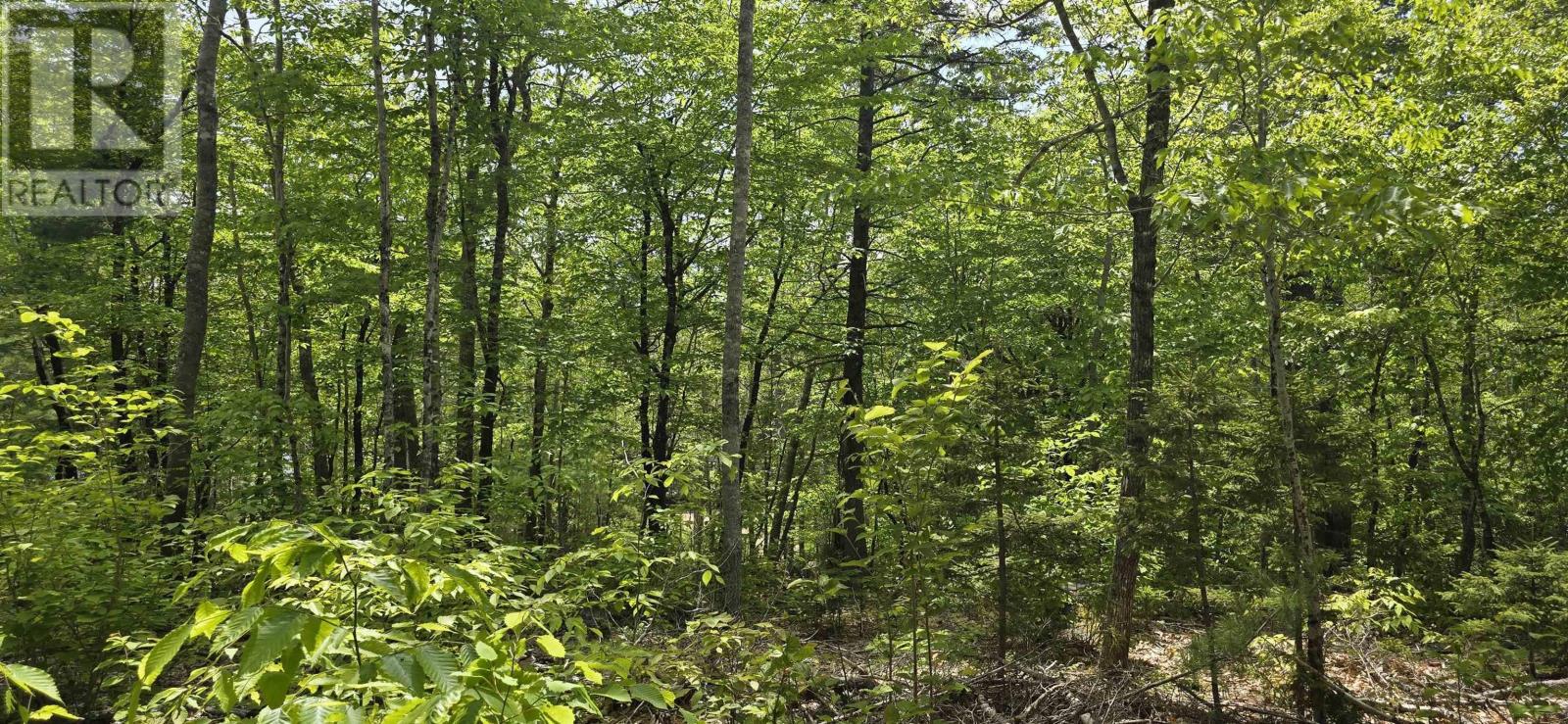 Lot 24-3 East Clifford Road, East Clifford, Nova Scotia B4V 7R8 - Photo 21 - 202513798