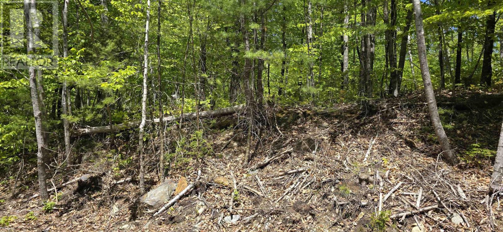 Lot 24-3 East Clifford Road, East Clifford, Nova Scotia B4V 7R8 - Photo 29 - 202513798