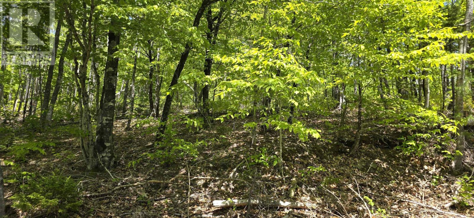 Lot 24-3 East Clifford Road, East Clifford, Nova Scotia B4V 7R8 - Photo 27 - 202513798