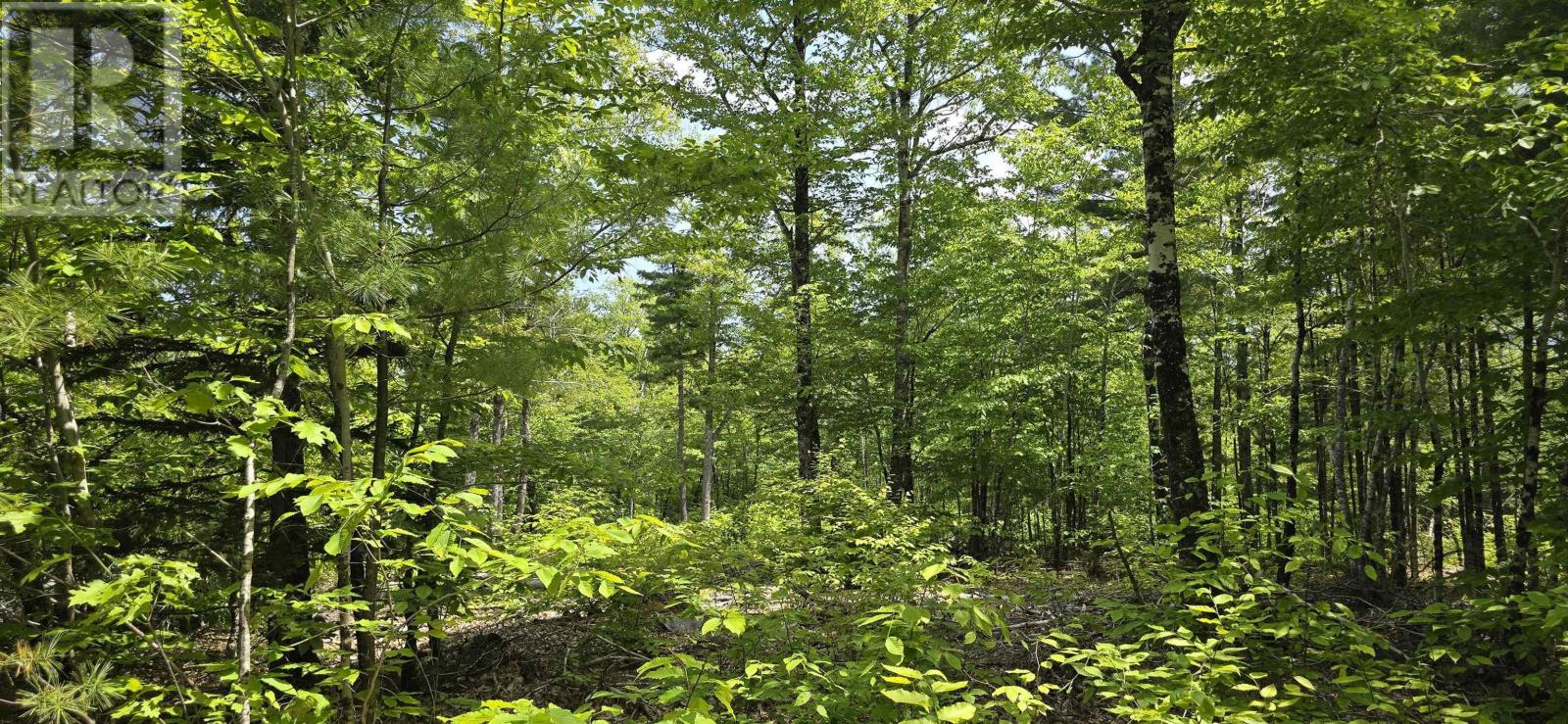 Lot 24-3 East Clifford Road, East Clifford, Nova Scotia B4V 7R8 - Photo 5 - 202513798