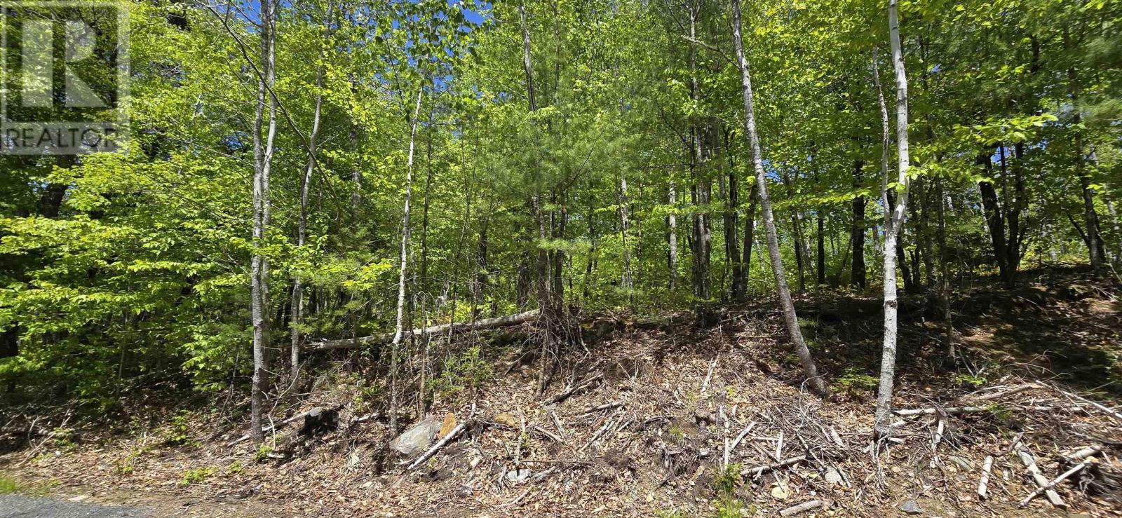 Lot 24-3 East Clifford Road, East Clifford, Nova Scotia B4V 7R8 - Photo 30 - 202513798