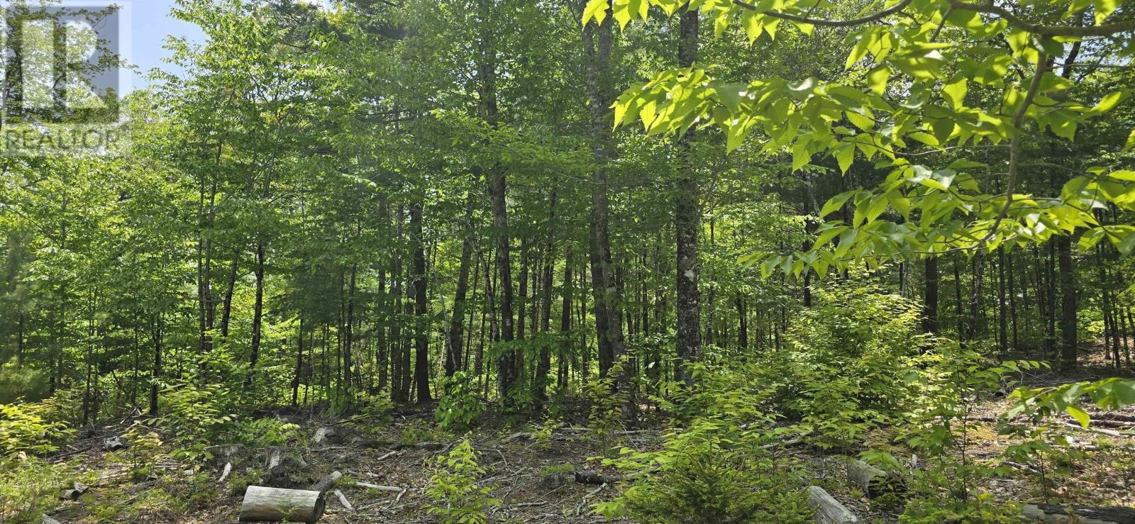 Lot 24-3 East Clifford Road, East Clifford, Nova Scotia B4V 7R8 - Photo 7 - 202513798