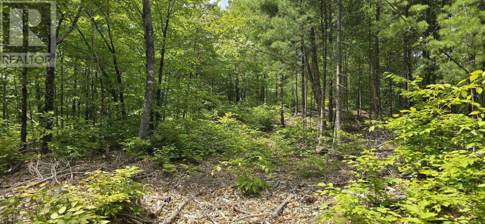 Lot 24-3 East Clifford Road, East Clifford, Nova Scotia B4V 7R8 - Photo 16 - 202513798