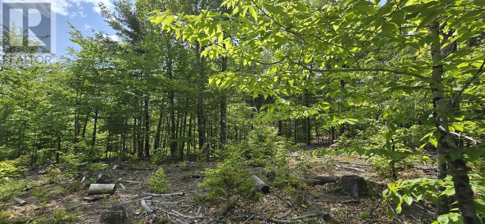 Lot 24-3 East Clifford Road, East Clifford, Nova Scotia B4V 7R8 - Photo 9 - 202513798