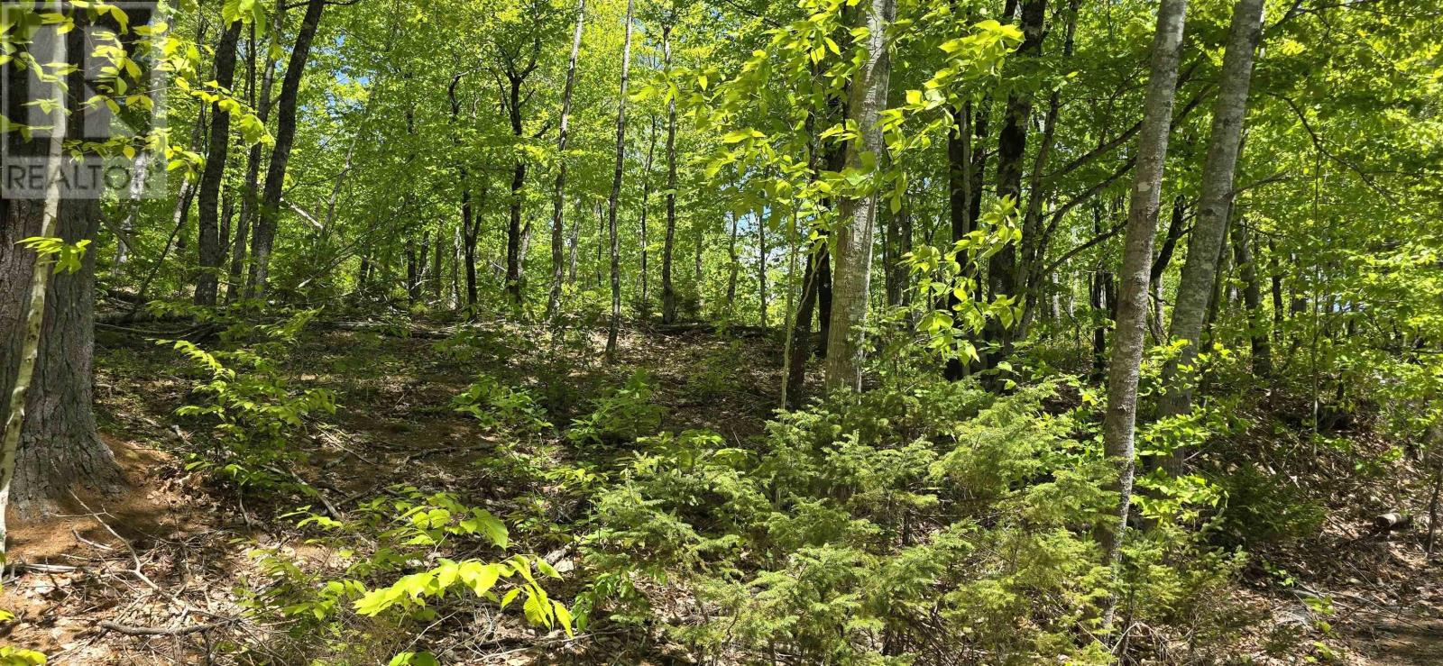 Lot 24-3 East Clifford Road, East Clifford, Nova Scotia B4V 7R8 - Photo 26 - 202513798