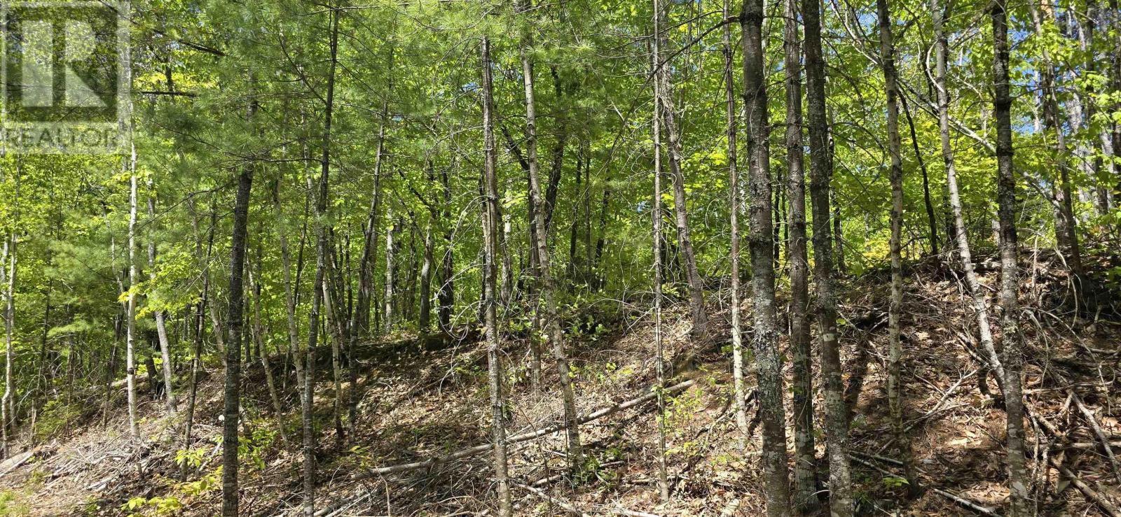 Lot 24-3 East Clifford Road, East Clifford, Nova Scotia B4V 7R8 - Photo 33 - 202513798