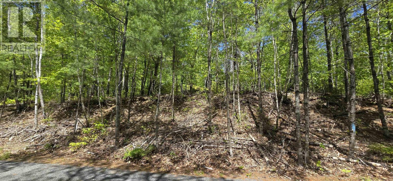 Lot 24-3 East Clifford Road, East Clifford, Nova Scotia B4V 7R8 - Photo 31 - 202513798