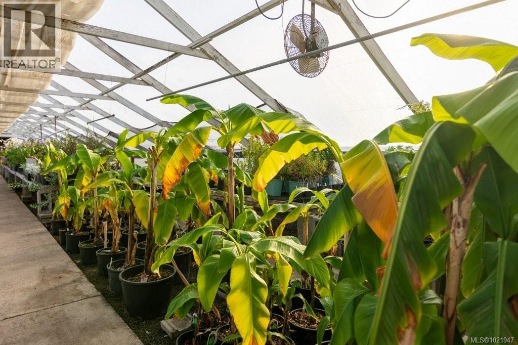 2012 Anderton Rd, Comox, British Columbia V9M 4B1 - Photo 16 - 1021947