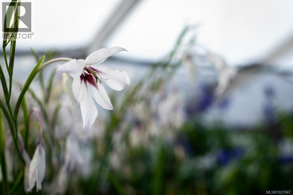 2012 Anderton Rd, Comox, British Columbia V9M 4B1 - Photo 17 - 1021947