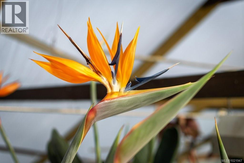 2012 Anderton Rd, Comox, British Columbia V9M 4B1 - Photo 21 - 1021947