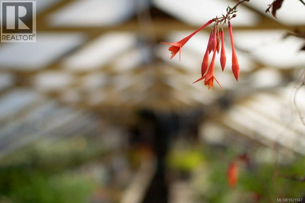 2012 Anderton Rd, Comox, British Columbia V9M 4B1 - Photo 24 - 1021947