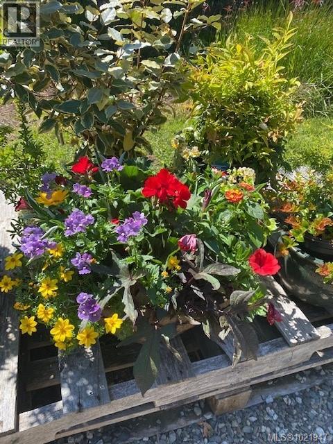 2012 Anderton Rd, Comox, British Columbia V9M 4B1 - Photo 38 - 1021947