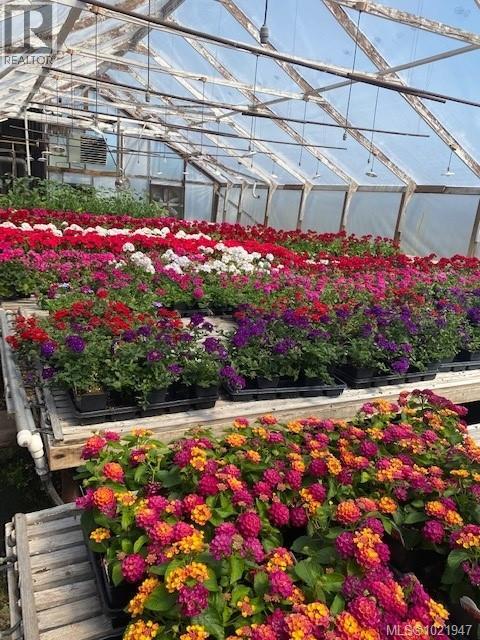 2012 Anderton Rd, Comox, British Columbia V9M 4B1 - Photo 43 - 1021947