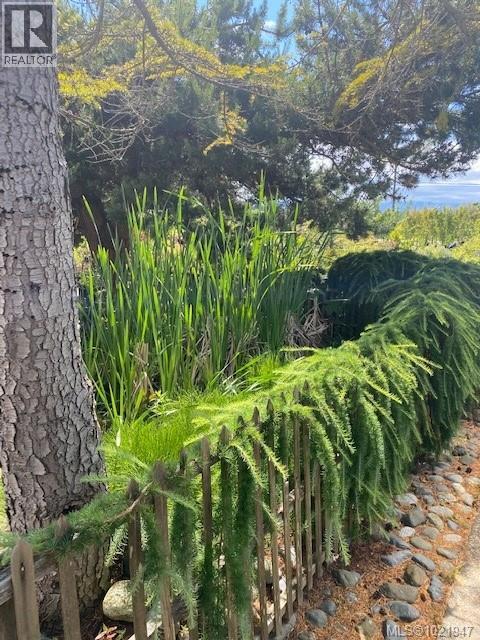 2012 Anderton Rd, Comox, British Columbia V9M 4B1 - Photo 46 - 1021947