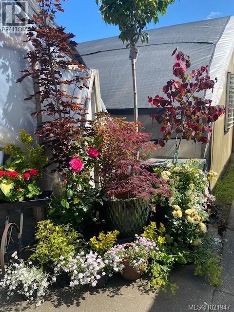 2012 Anderton Rd, Comox, British Columbia V9M 4B1 - Photo 57 - 1021947