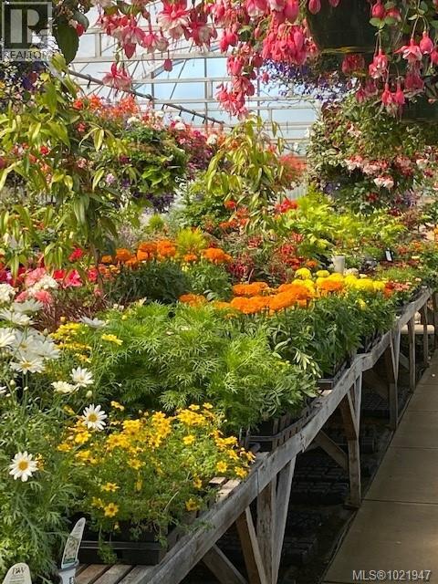 2012 Anderton Rd, Comox, British Columbia V9M 4B1 - Photo 60 - 1021947