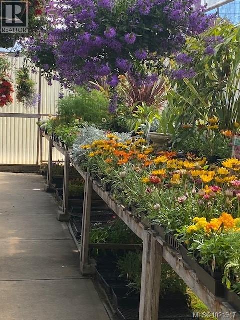 2012 Anderton Rd, Comox, British Columbia V9M 4B1 - Photo 63 - 1021947