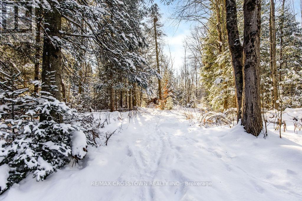 12036 County Rd 27, Springwater, Ontario  L9X 0M1 - Photo 38 - S12636932