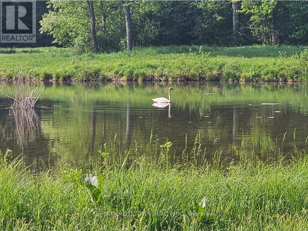 12036 County Rd 27, Springwater, Ontario  L9X 0M1 - Photo 50 - S12636932