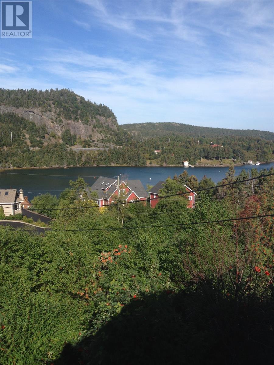 3 Chalker's Lane, Avondale, Newfoundland & Labrador A0A 1B0 - Photo 3 - 1293309