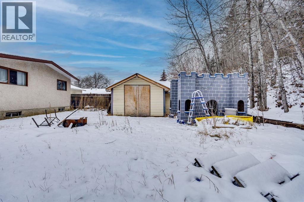 62 Birch Road, Fort Mcmurray, Alberta T9H 1J7 - Photo 32 - A2274230