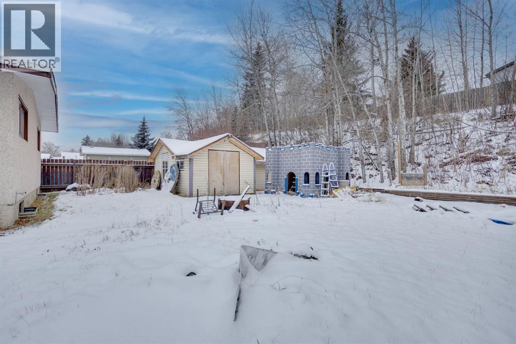 62 Birch Road, Fort Mcmurray, Alberta T9H 1J7 - Photo 30 - A2274230