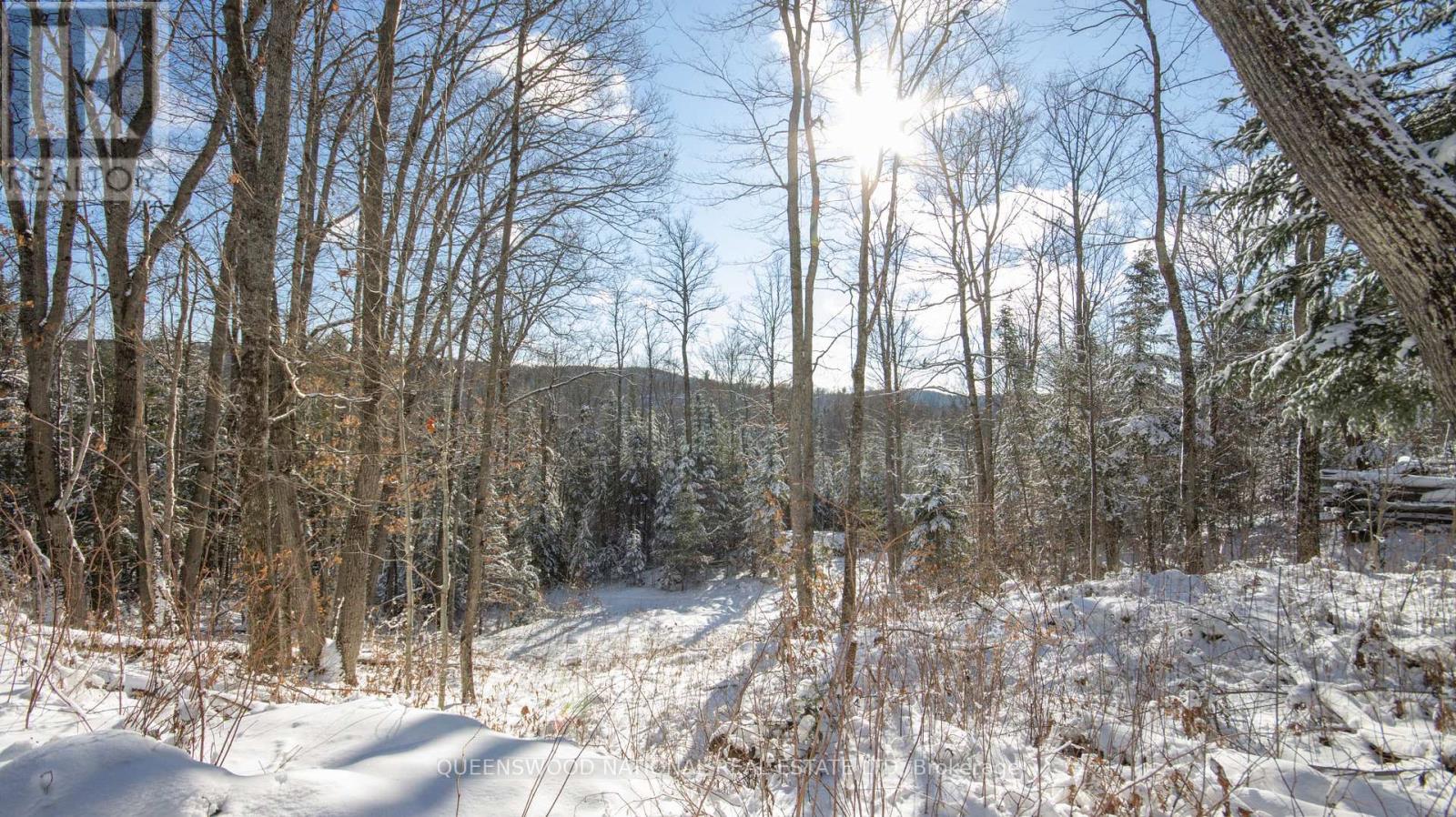 205 Rockingham Road, Madawaska Valley, Ontario  K0J 2N0 - Photo 31 - X12637106