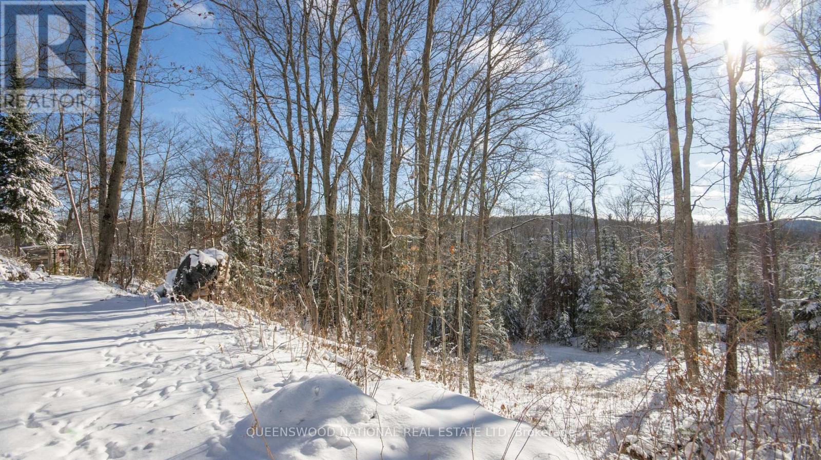 205 Rockingham Road, Madawaska Valley, Ontario  K0J 2N0 - Photo 33 - X12637106
