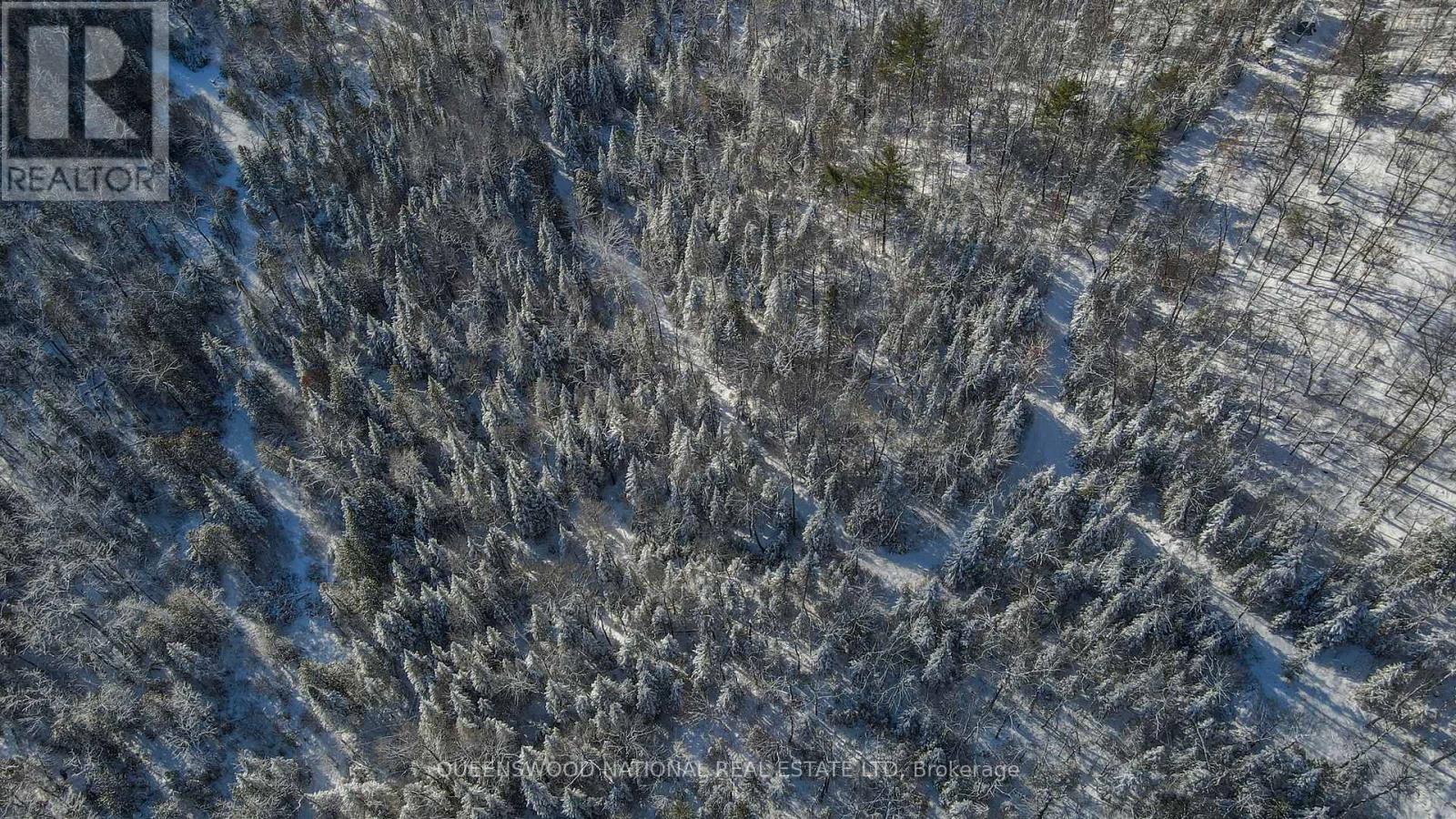 205 Rockingham Road, Madawaska Valley, Ontario  K0J 2N0 - Photo 44 - X12637106