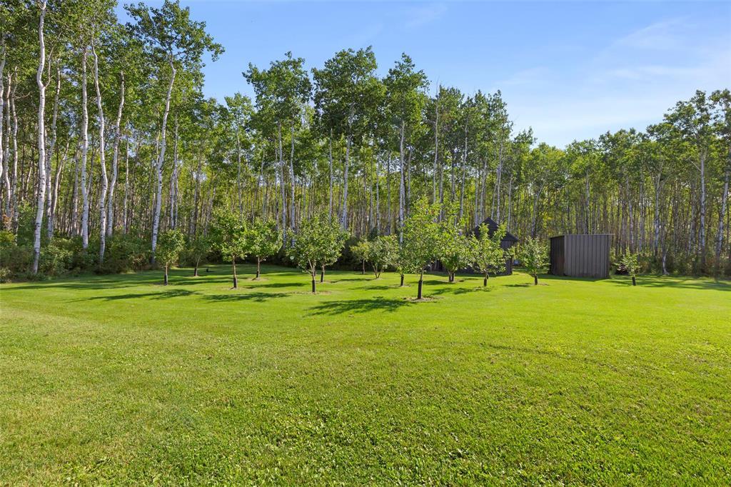 31 Hayleys Drive, La Broquerie, Manitoba  R0A 0W0 - Photo 42 - 202521487