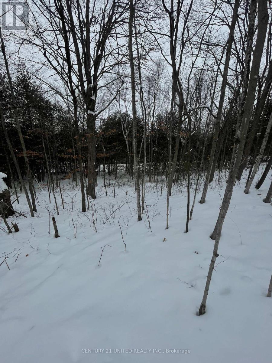 Ptlt 37 Trent View Drive, Trent Hills, Ontario  K0L 1Y0 - Photo 3 - X12637246