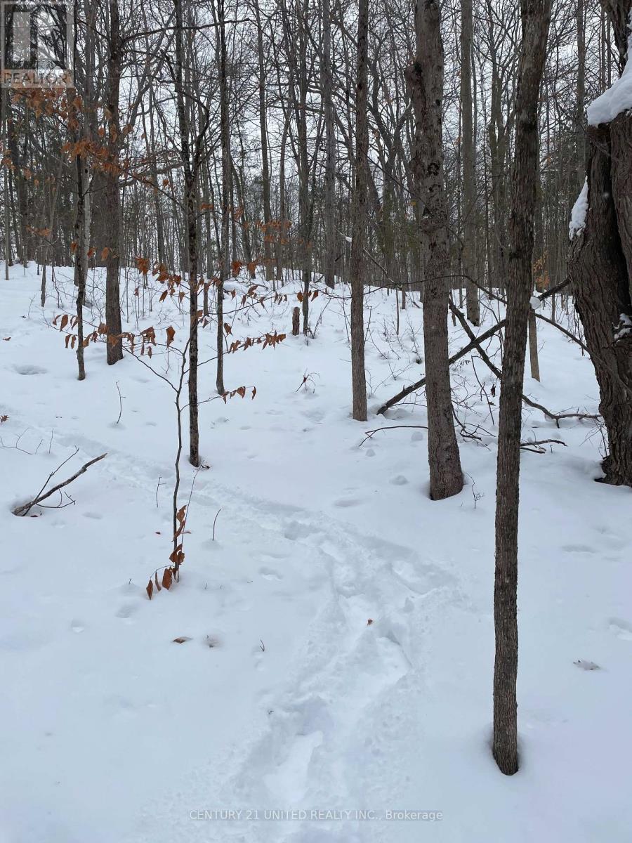 Ptlt 37 Trent View Drive, Trent Hills, Ontario  K0L 1Y0 - Photo 5 - X12637246