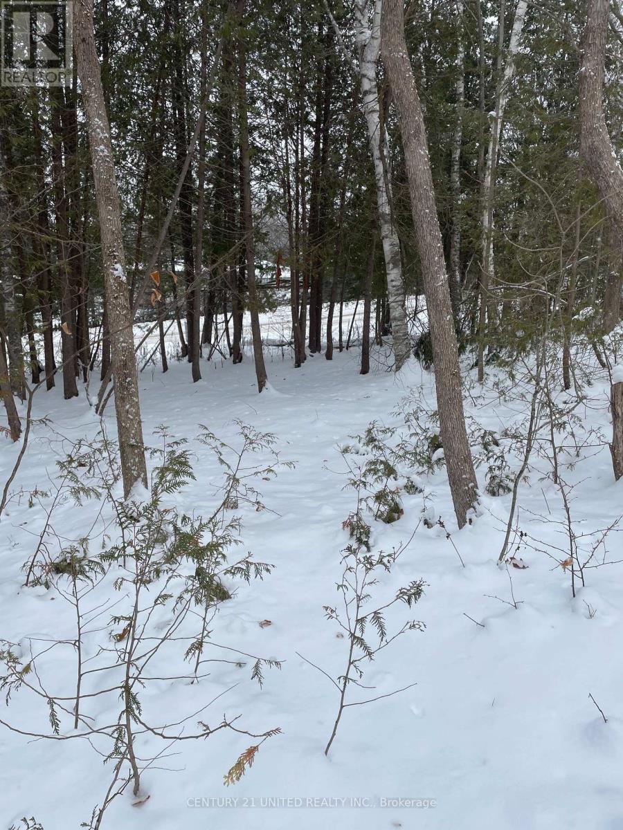 Ptlt 37 Trent View Drive, Trent Hills, Ontario  K0L 1Y0 - Photo 6 - X12637246