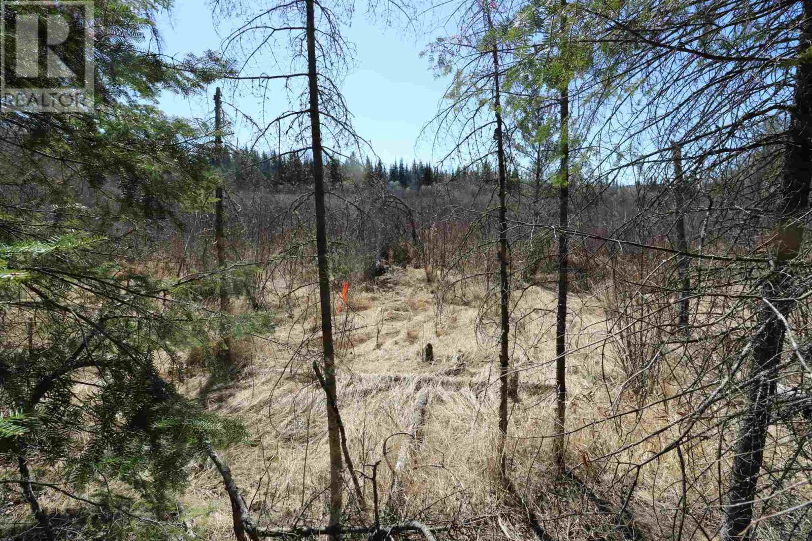 Lot 151 Plan M222, Minaki, Ontario  P0X 1J0 - Photo 15 - TB250064