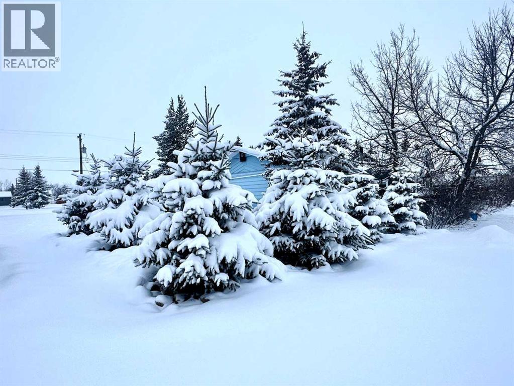 4624 51 Street, Rycroft, Alberta T0H 3A0 - Photo 3 - A2238893